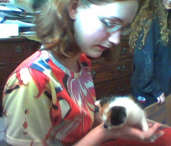 a young girl holding a kitten in her lap