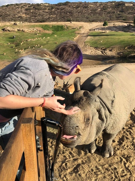 a woman feeding a baby rhino