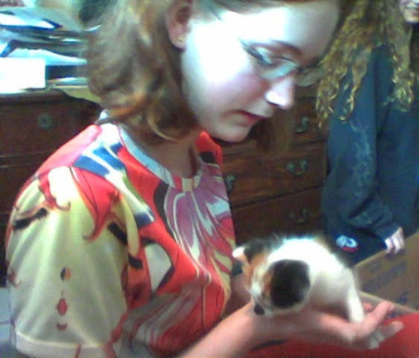 a woman holding a kitten