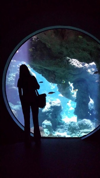 a person standing in front of a large aquarium