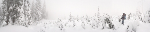 a person standing in the snow near tall trees