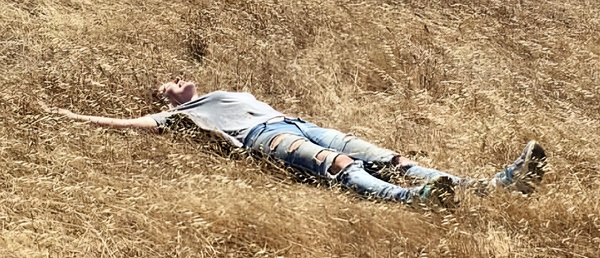 a man laying in a field of tall grass