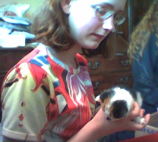 a girl holding a kitten