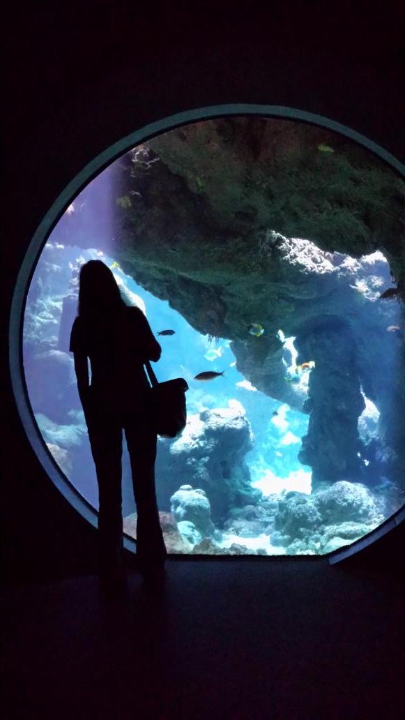 a person standing in front of a large aquarium