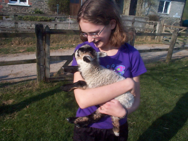 a girl holding a lamb